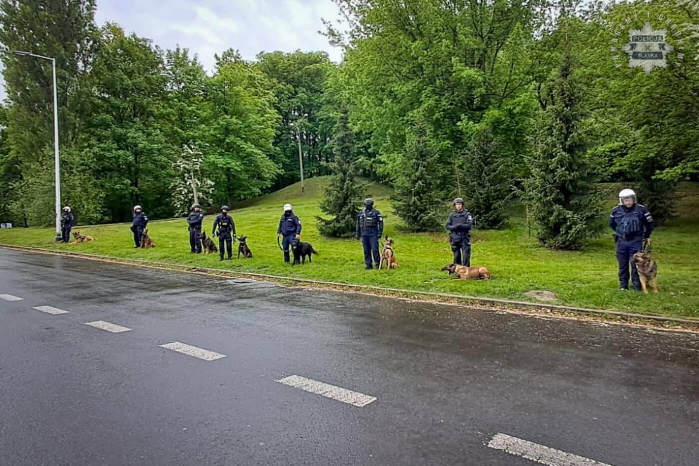 Zadyma na stadionie slaskim 5