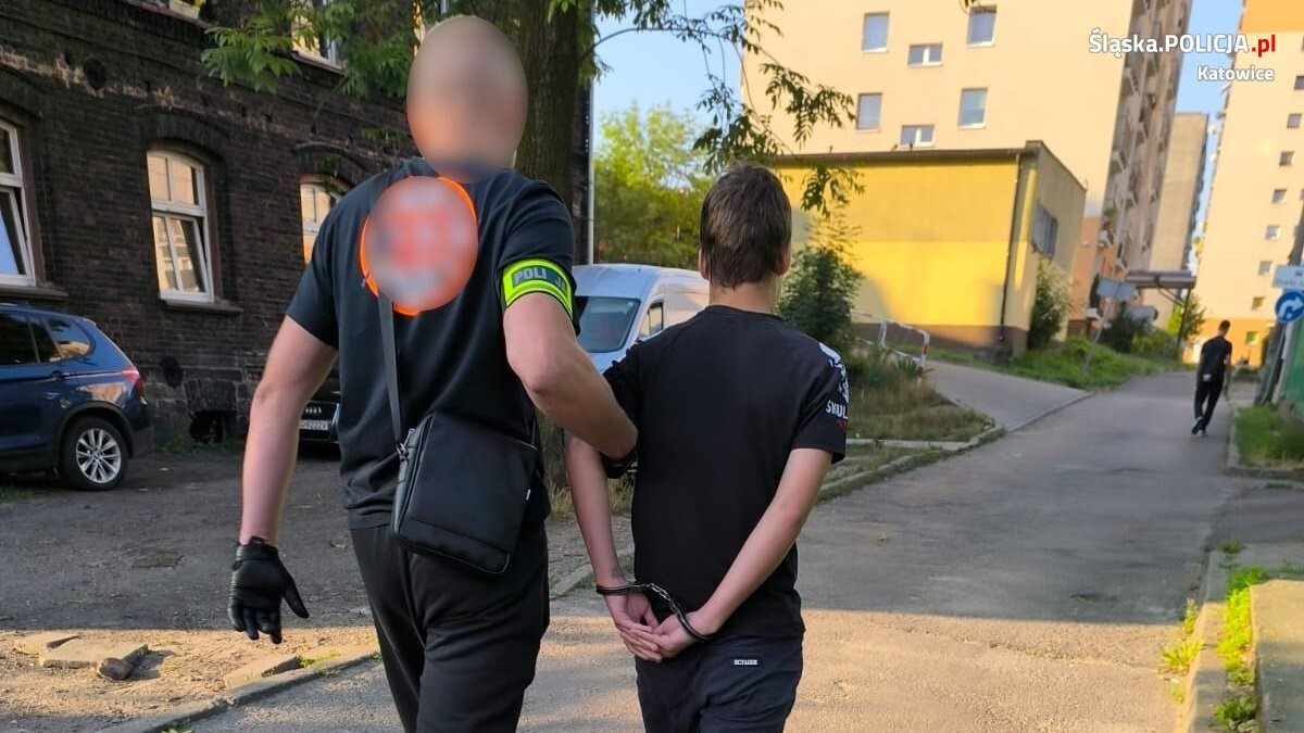 Zatrzymanie prof