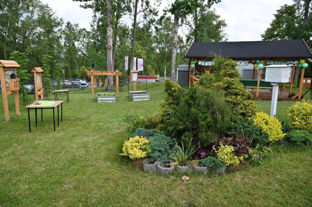 Zielona pracownia „Klasa pod drzewami” w SP35 w Rudzie Śląskiej