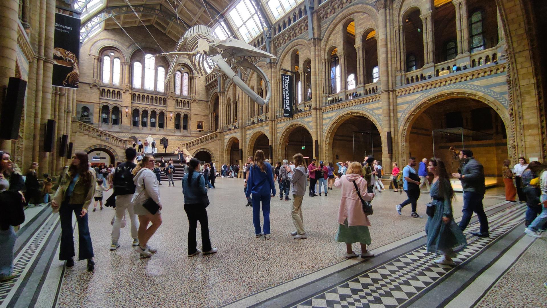 Zimowe obozy jezykowe atas 2026 4